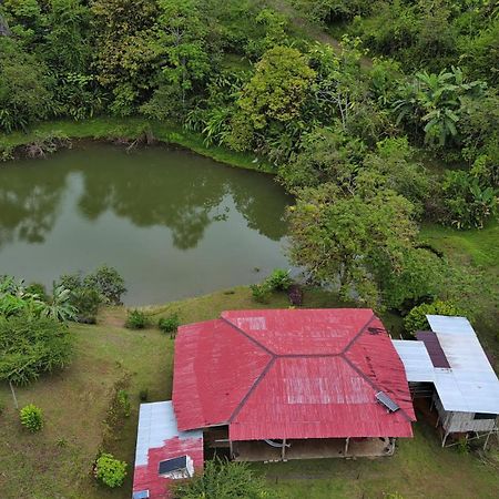 Albergue La Laguna Puerto Jiménez Exteriör bild