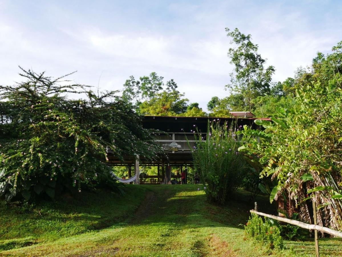 Albergue La Laguna Puerto Jiménez Exteriör bild