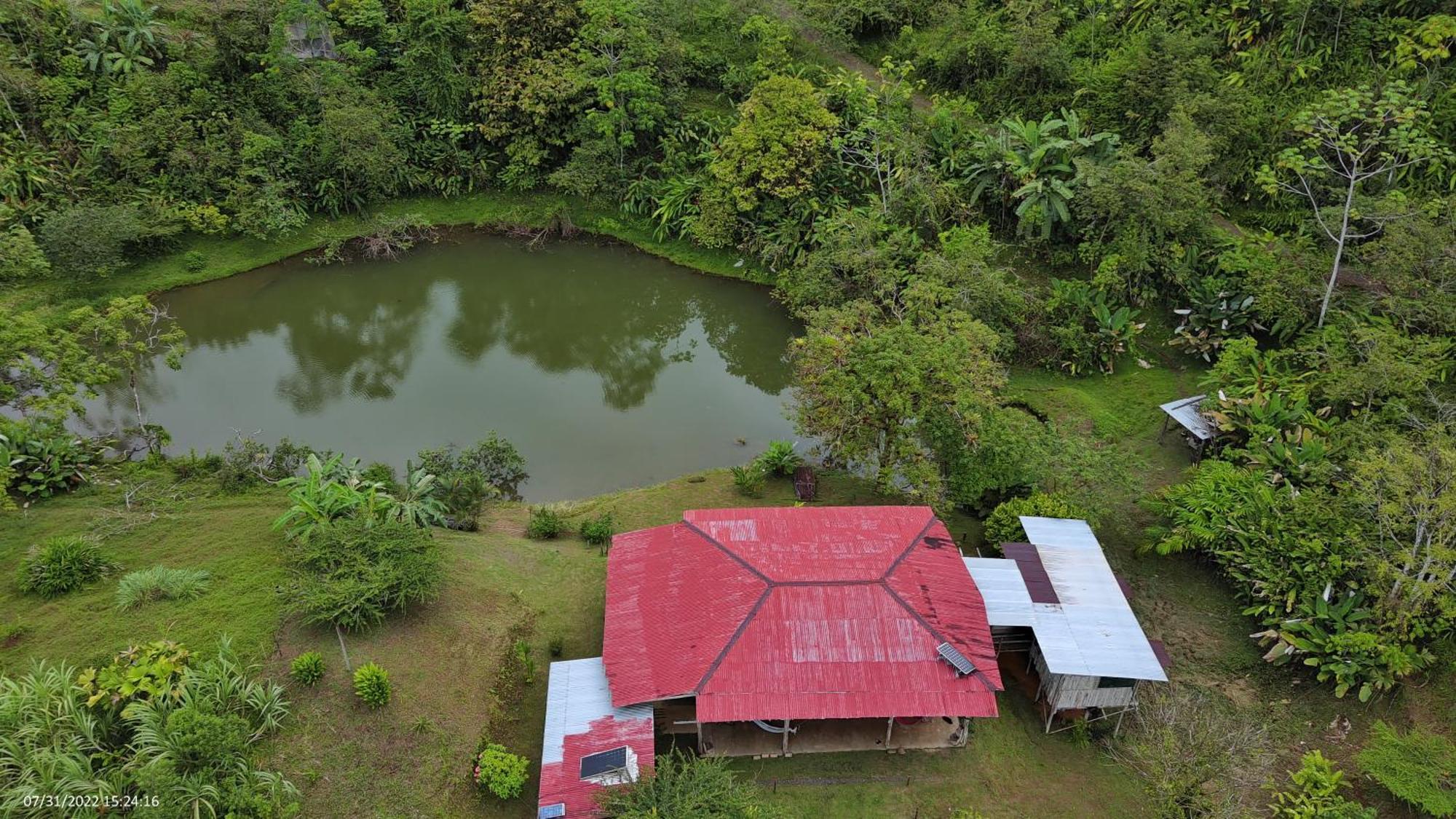 Albergue La Laguna Puerto Jiménez Exteriör bild