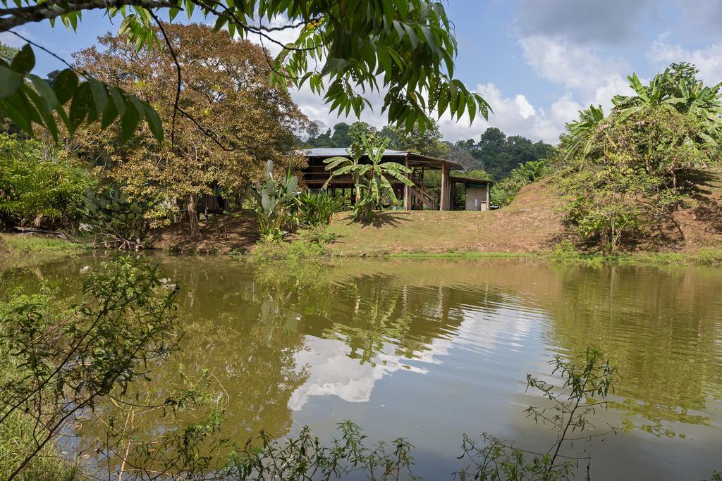 Albergue La Laguna Puerto Jiménez Exteriör bild