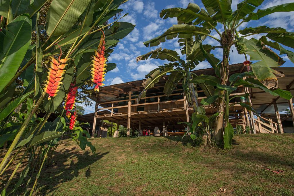 Albergue La Laguna Puerto Jiménez Exteriör bild