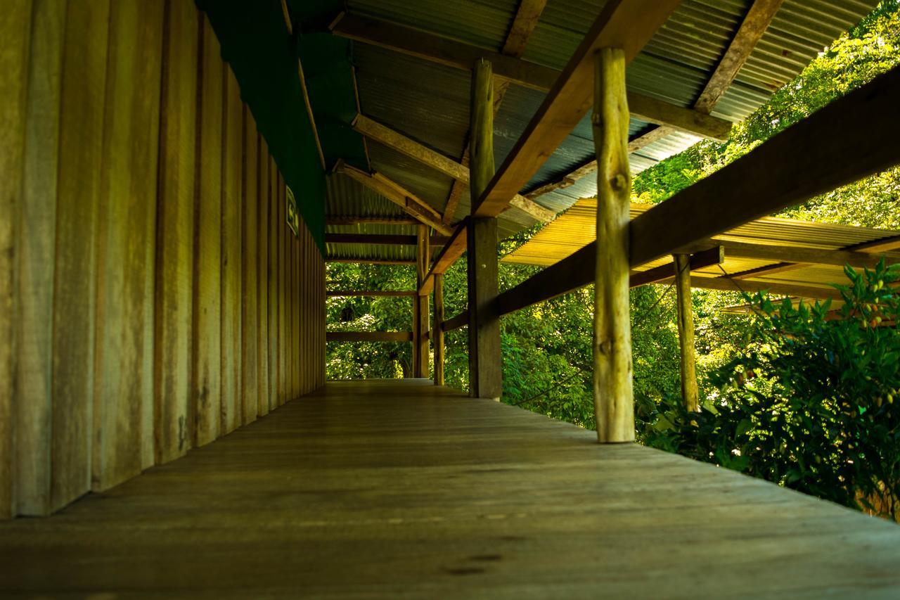 Albergue La Laguna Puerto Jiménez Exteriör bild